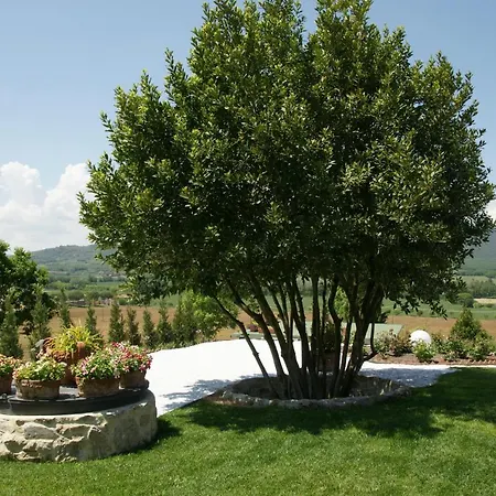 Residenza Corgnano Casa de hóspedes