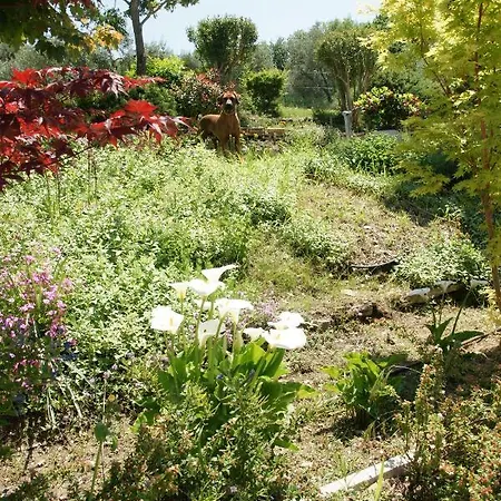 Residenza Corgnano